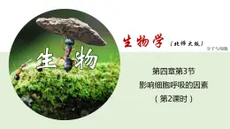 4.3.2 影响细胞呼吸的因素--2021-2022学年新教材北师大版高中生物必修1课件+导学案+教学设计+练习