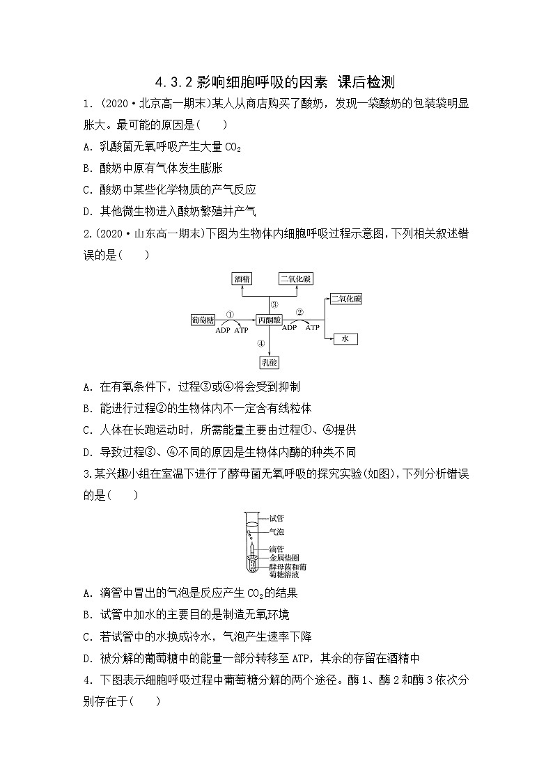 4.3.2 影响细胞呼吸的因素(练习)(原卷版)第1页