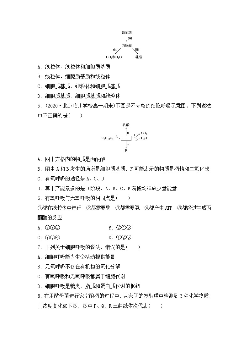 4.3.2 影响细胞呼吸的因素(练习)(原卷版)第2页