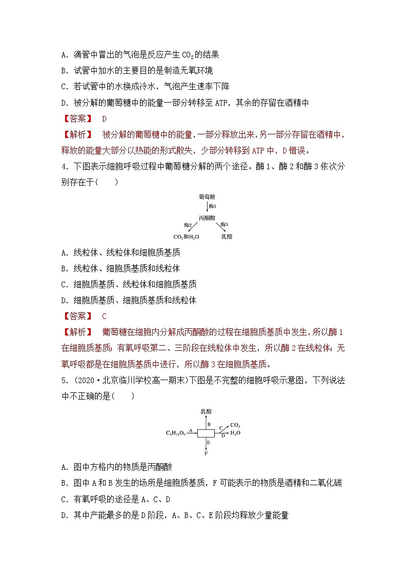 4.3.2 影响细胞呼吸的因素(练习)(解析版)第2页