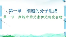 2021-2022學(xué)年蘇教版（2019）高中生物 必修1 第1章 第1節(jié)　細胞中的元素和無機化合物課件+課時練
