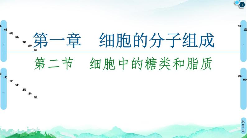 2021-2022学年苏教版（2019）高中生物 必修1 第1章 第2节　细胞中的糖类和脂质课件+课时练01