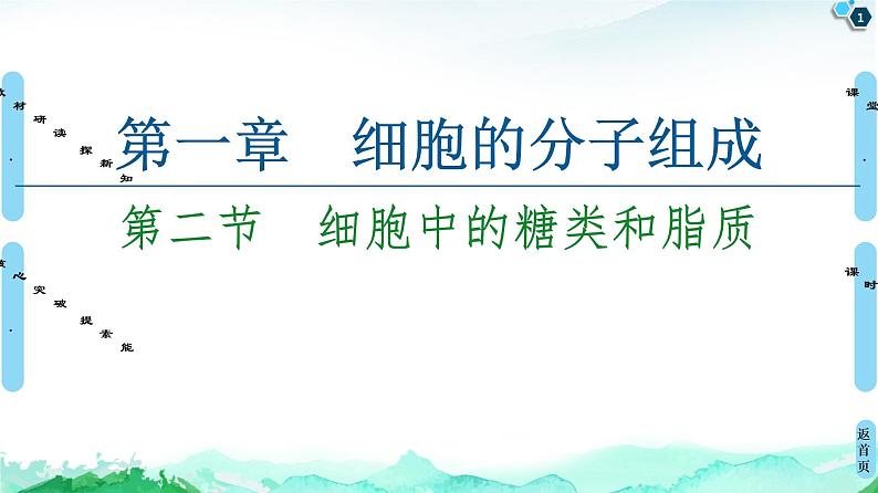 2021-2022学年苏教版(2019)高中生物 必修1 第1章 第2节 细胞中的糖类和脂质课件+课时练01