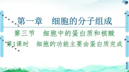 2021-2022學(xué)年蘇教版（2019）高中生物 必修1 第1章 第3節(jié)　細胞中的蛋白質(zhì)和核酸課件+課時練