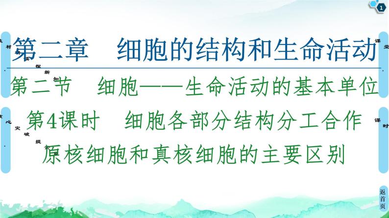 2021-2022学年苏教版（2019）高中生物 必修1 第2章 第2节　细胞——生命活动的基本单位课件+课时练01