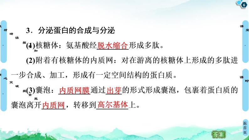 2021-2022学年苏教版（2019）高中生物 必修1 第2章 第2节　细胞——生命活动的基本单位课件+课时练06