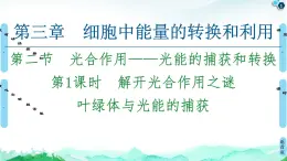 2021-2022學(xué)年蘇教版（2019）高中生物 必修1 第3章 第2節(jié)　光合作用——光能的捕獲和轉(zhuǎn)換課件+課時練