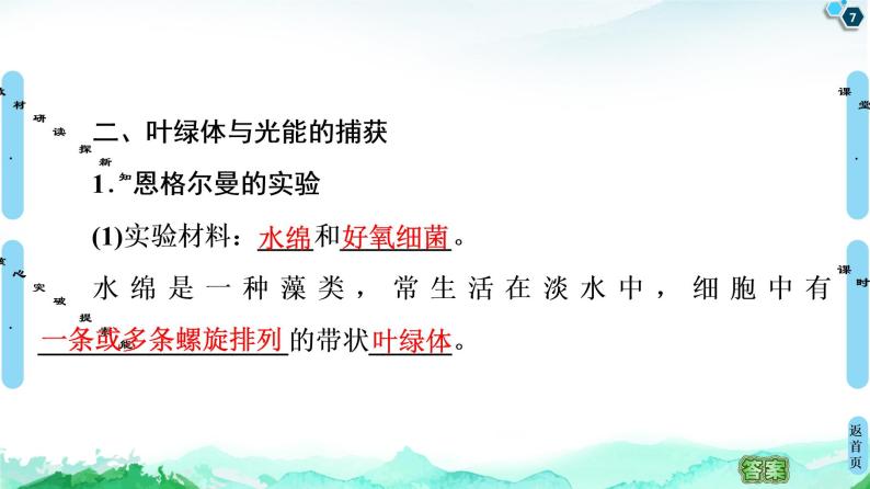 2021-2022学年苏教版（2019）高中生物 必修1 第3章 第2节　光合作用——光能的捕获和转换课件+课时练07