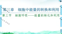 2021-2022學(xué)年蘇教版（2019）高中生物 必修1 第3章 第3節(jié)　細胞呼吸——能量的轉(zhuǎn)化和利用課件+課時練