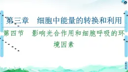 2021-2022學(xué)年蘇教版（2019）高中生物 必修1 第3章 第4節(jié)　影響光合作用和細胞呼吸的環(huán)境因素課件+課時練