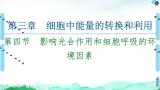 2021-2022学年苏教版（2019）高中生物 必修1 第3章 第4节　影响光合作用和细胞呼吸的环境因素课件+课时练
