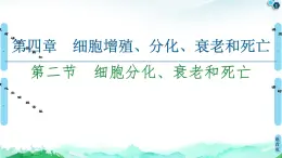 2021-2022學(xué)年蘇教版（2019）高中生物 必修1 第4章 第2節(jié)　細胞分化、衰老和死亡課件+課時練