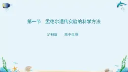 3.1 孟德?tīng)栠z傳實(shí)驗(yàn)的科學(xué)方法  課件+教案