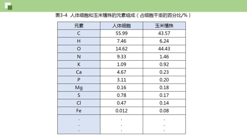 元素与生物大分子PPT课件免费下载04