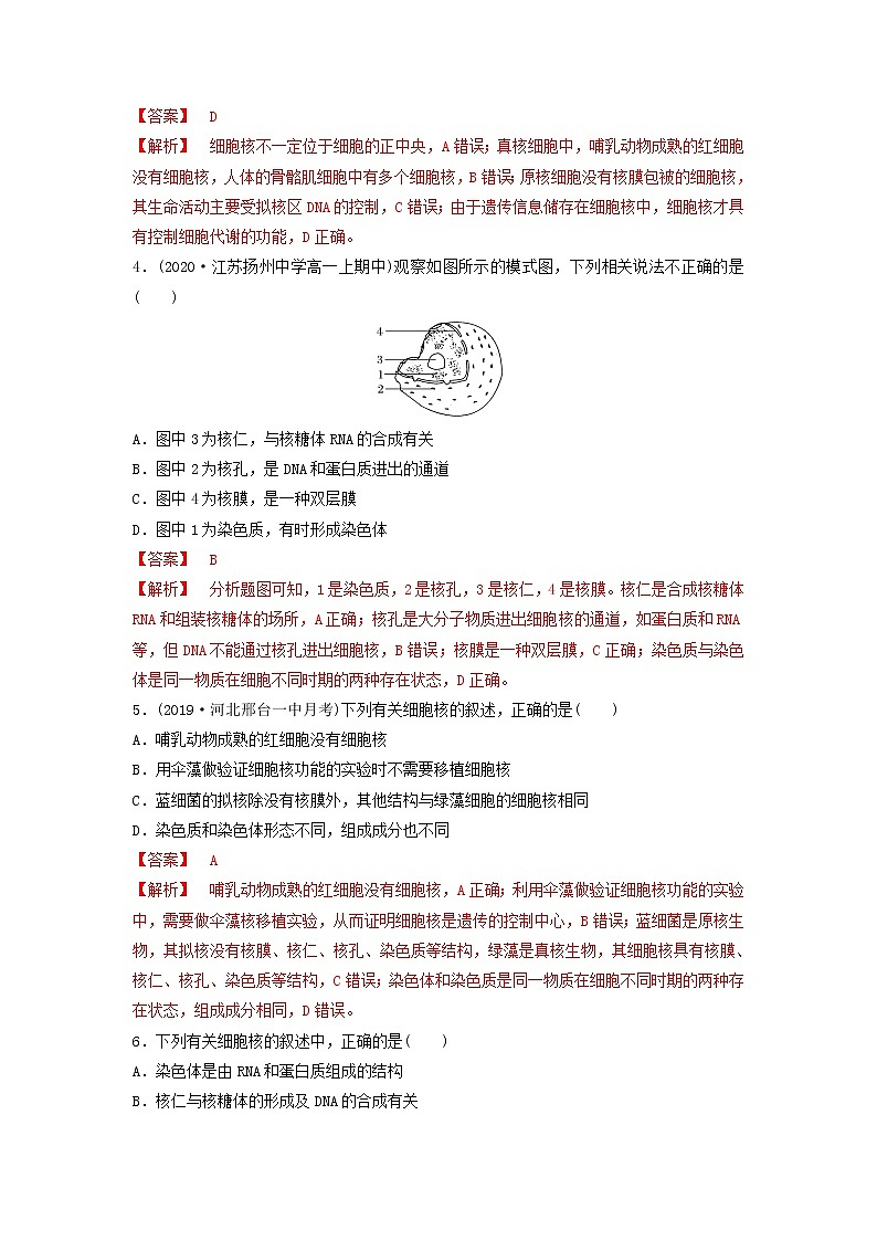 细胞核PPT课件免费下载02