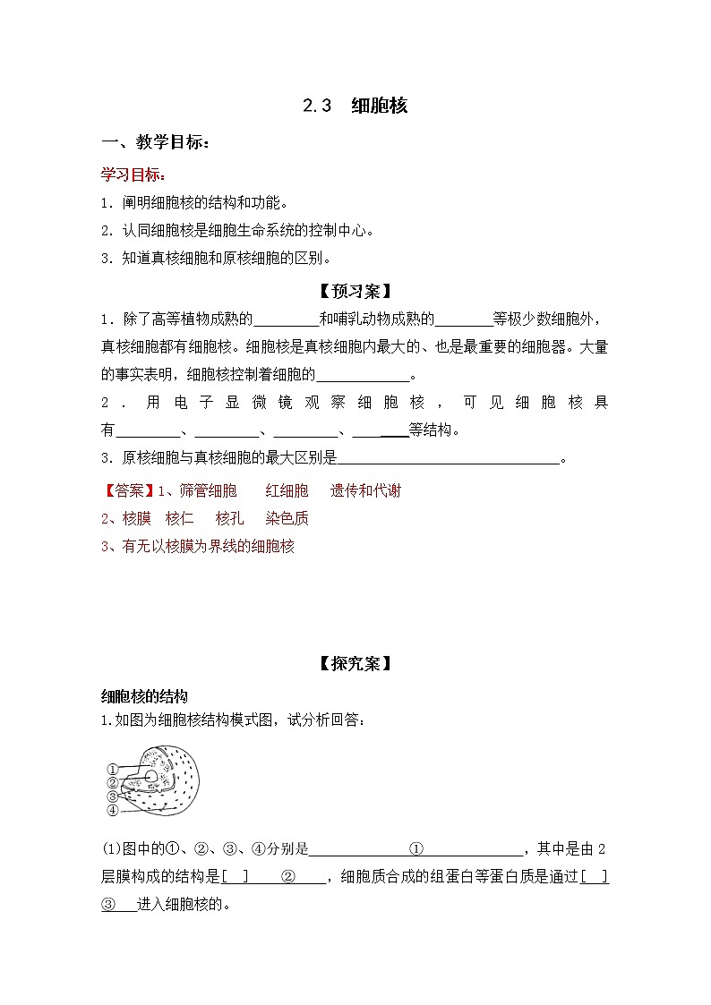 细胞核PPT课件免费下载01