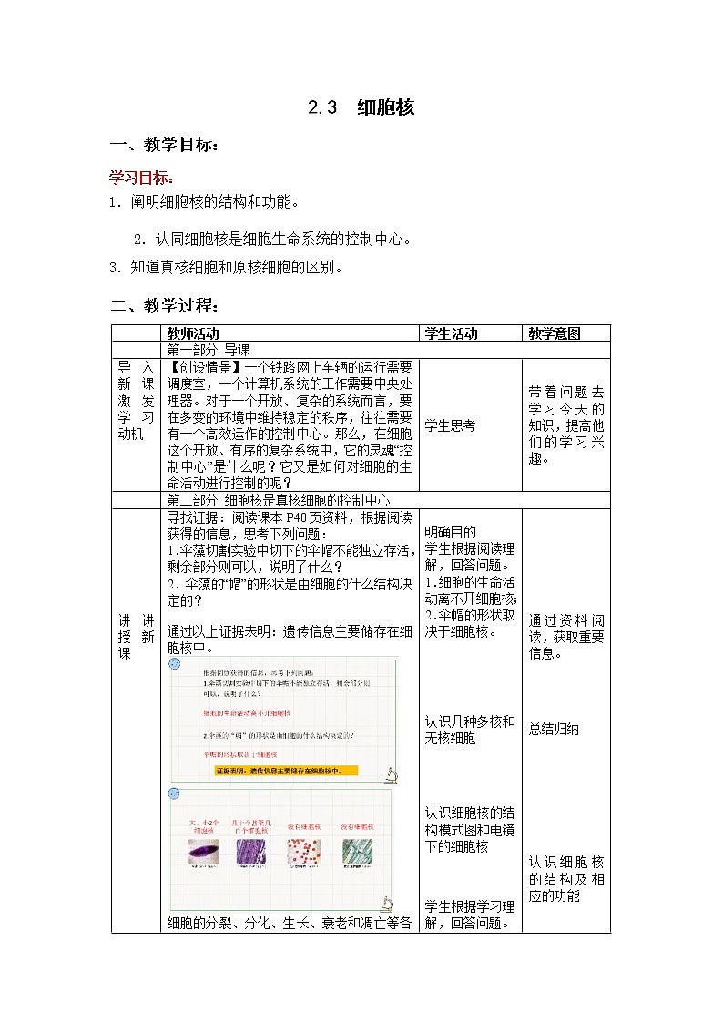 细胞核PPT课件免费下载01