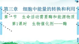 2021-2022學(xué)年蘇教版（2019）高中生物 必修1 第3章 第1節(jié)　生命活動需要酶和能源物質(zhì)課件+課時練