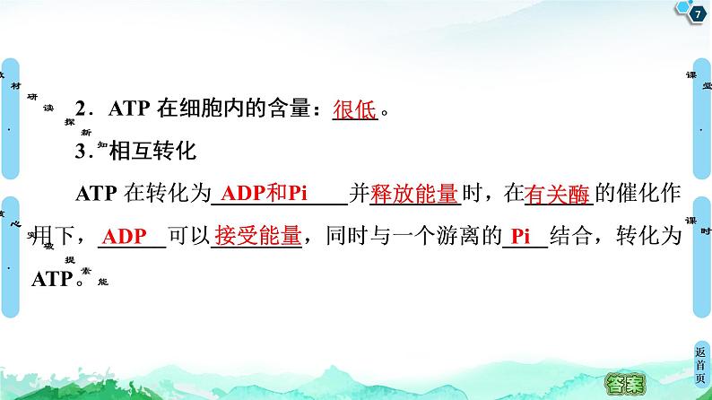 第3章 第1节 第2课时 ATP是驱动细胞生命活动的直接能源物质第7页