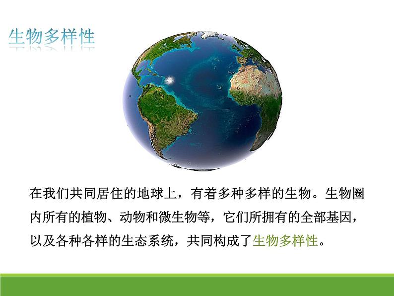 4.2 生物的多样性及其保护 【新教材】2021-2022学年人教版(2019)高二生物选择性必修二课件+教案+学案+同步练习02