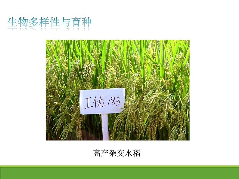 4.2 生物的多样性及其保护 【新教材】2021-2022学年人教版(2019)高二生物选择性必修二课件+教案+学案+同步练习07