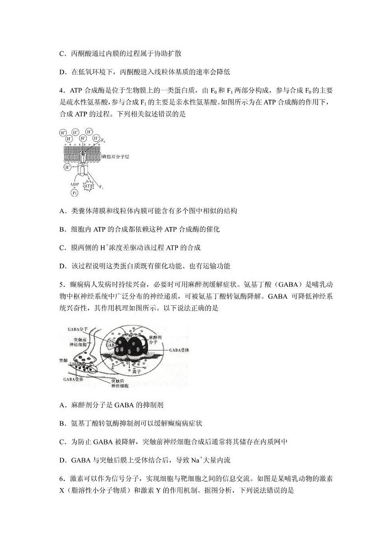 2021届重庆市巴蜀中学高三高考适应性月考卷(七)生物试题 PDF版第2页