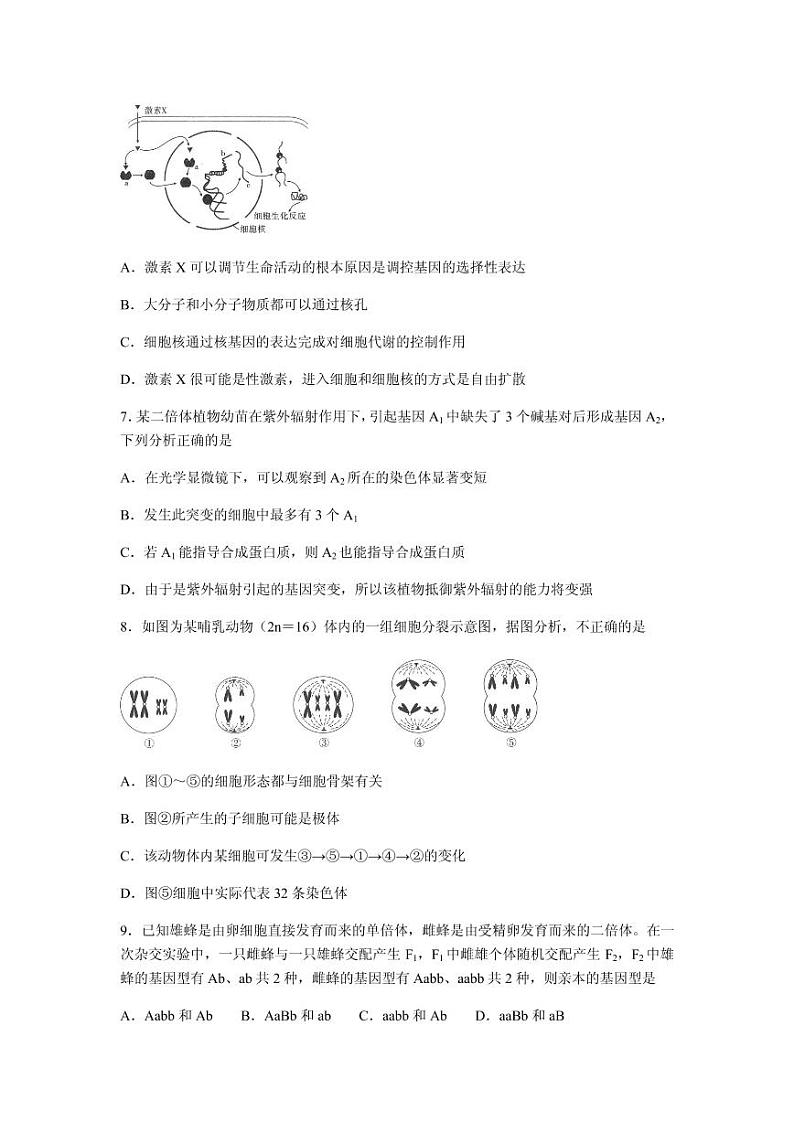 2021届重庆市巴蜀中学高三高考适应性月考卷(七)生物试题 PDF版第3页