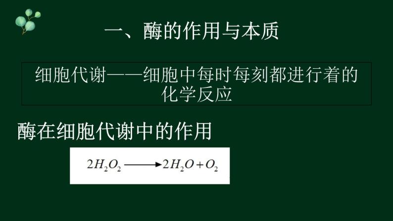 5.1 降低化学反应活化能的酶-【新教材】人教版（2019）高中生物必修1同步课件精讲+习题精练03