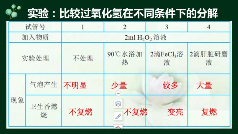 5.1 降低化学反应活化能的酶-【新教材】人教版（2019）高中生物必修1同步课件精讲+习题精练04