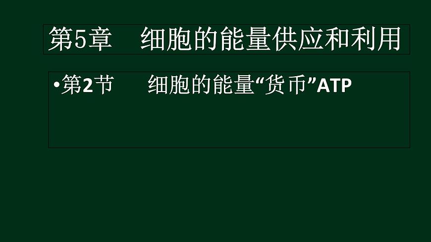 5.2 細胞的能量“貨幣”ATP（課件精講）-【新教材】人教版（2019）高中生物必修1同步課件精講+習題精練第1頁