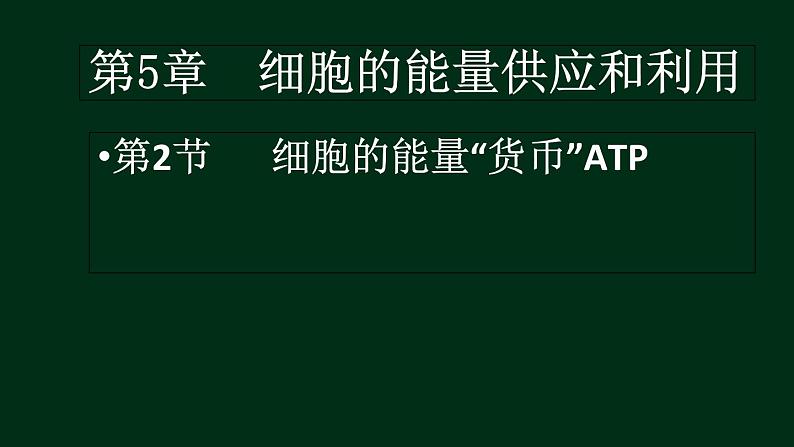 5.2 细胞的能量货币ATP-【新教材】人教版(2019)高中生物必修1同步课件精讲+习题精练01