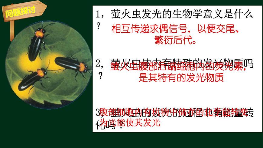 5.2 細胞的能量“貨幣”ATP（課件精講）-【新教材】人教版（2019）高中生物必修1同步課件精講+習題精練第2頁