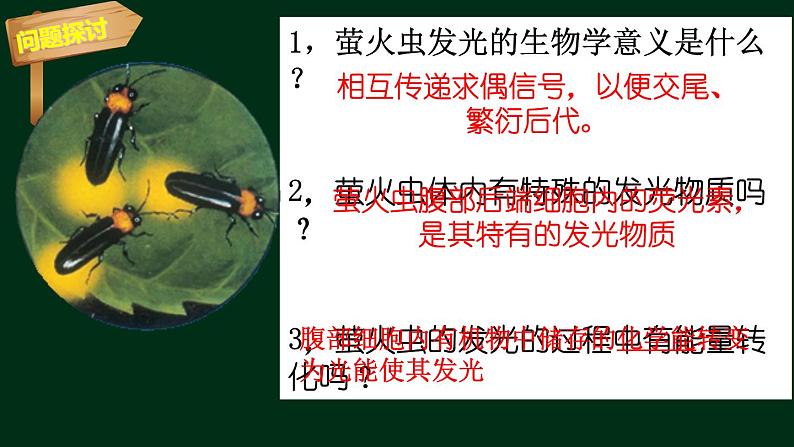 5.2 细胞的能量货币ATP-【新教材】人教版(2019)高中生物必修1同步课件精讲+习题精练02