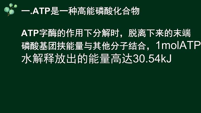 5.2 细胞的能量货币ATP-【新教材】人教版(2019)高中生物必修1同步课件精讲+习题精练07