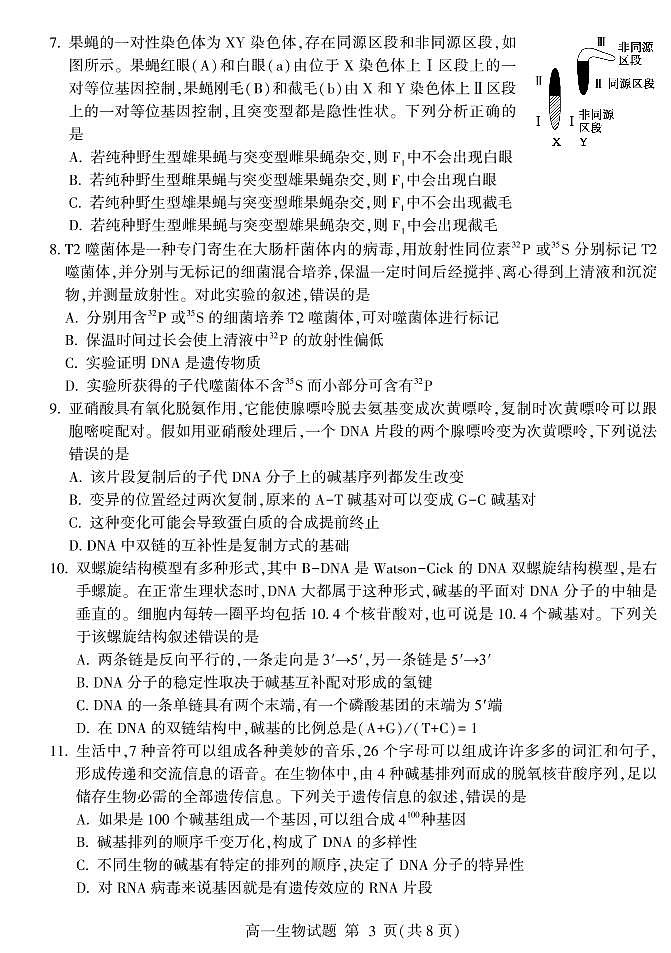 2020-2021学年山东省临沂市兰山区、兰陵县高一下学期期中考试生物试题 PDF版03