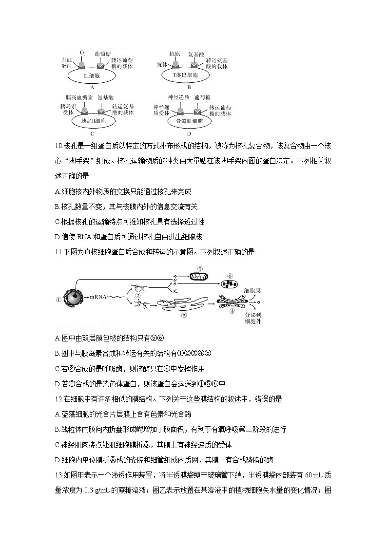 河南省信阳市2020-2021学年高二下学期期末教学质量检测 生物 Word版含答案03