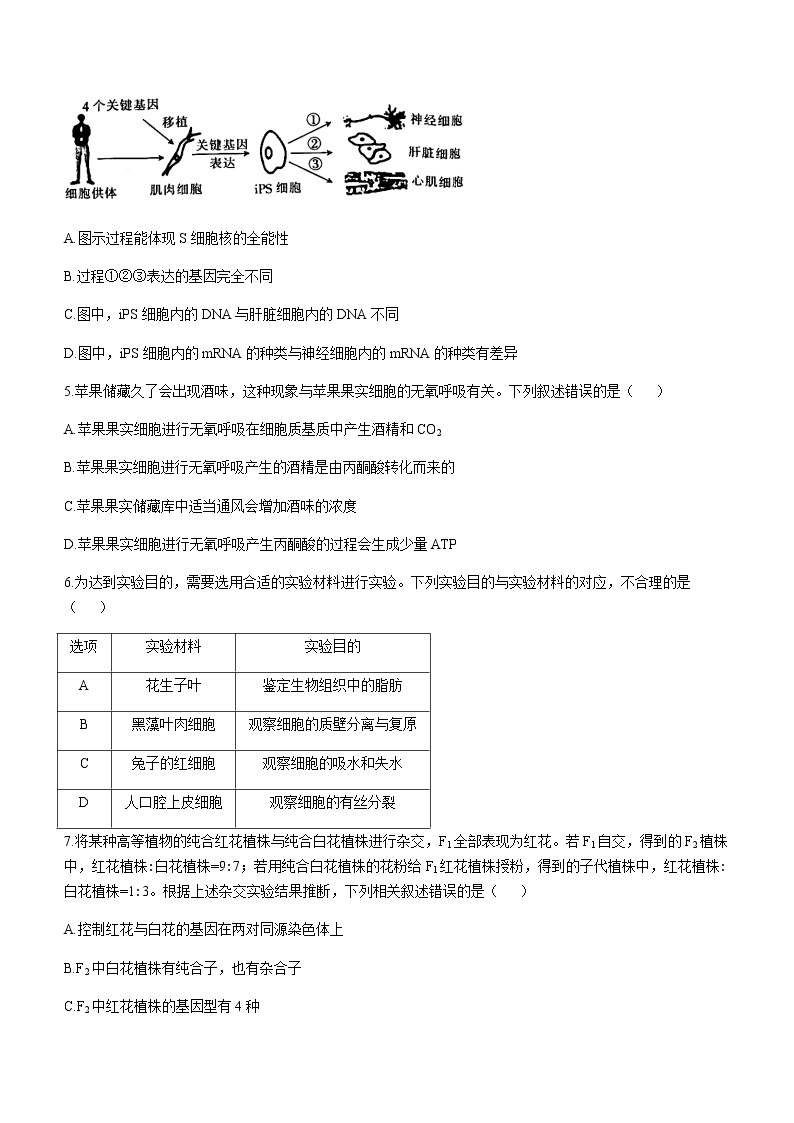 甘肃省靖远县2020-2021学年高二下学期期末考试生物试题 Word版含答案02