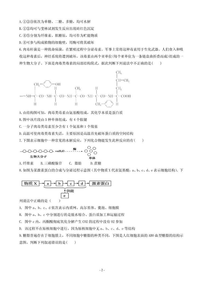2020届河南省周口中英文学校高三上学期第一次月考摸底生物试题(PDF版)02