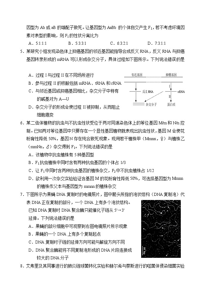 山东省威海市2020-2021学年高二下学期期末考试生物试卷 Word版含答案02