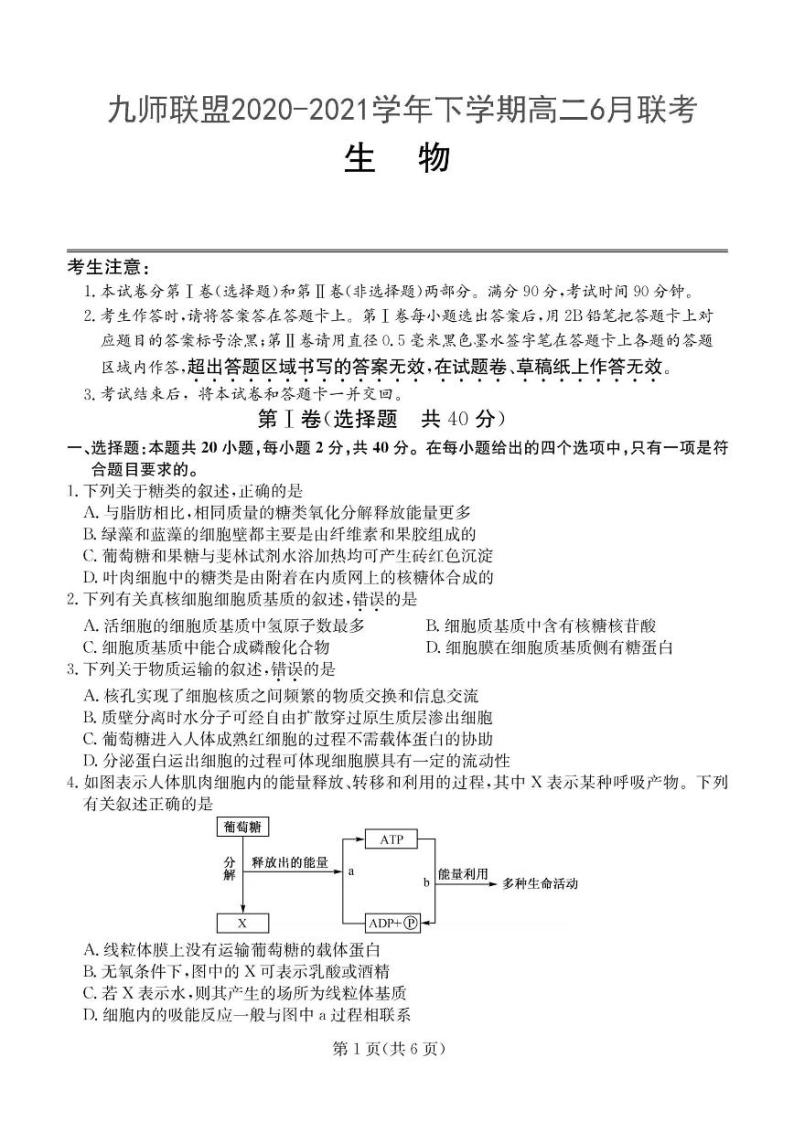 2020-2021学年河南省九师联盟高二下学期6月联考生物试题 PDF版01
