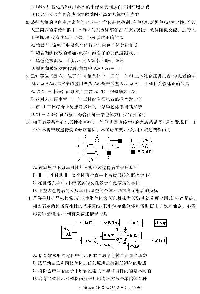 2021届湖南省长郡中学高三第二次月考生物试题 PDF版03