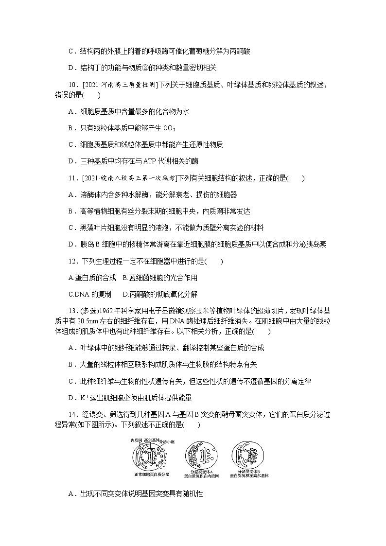 【新教材】2022届新高考生物一轮复习课后检测:6+细胞器——系统的分工与合作+Word版含解析第3页