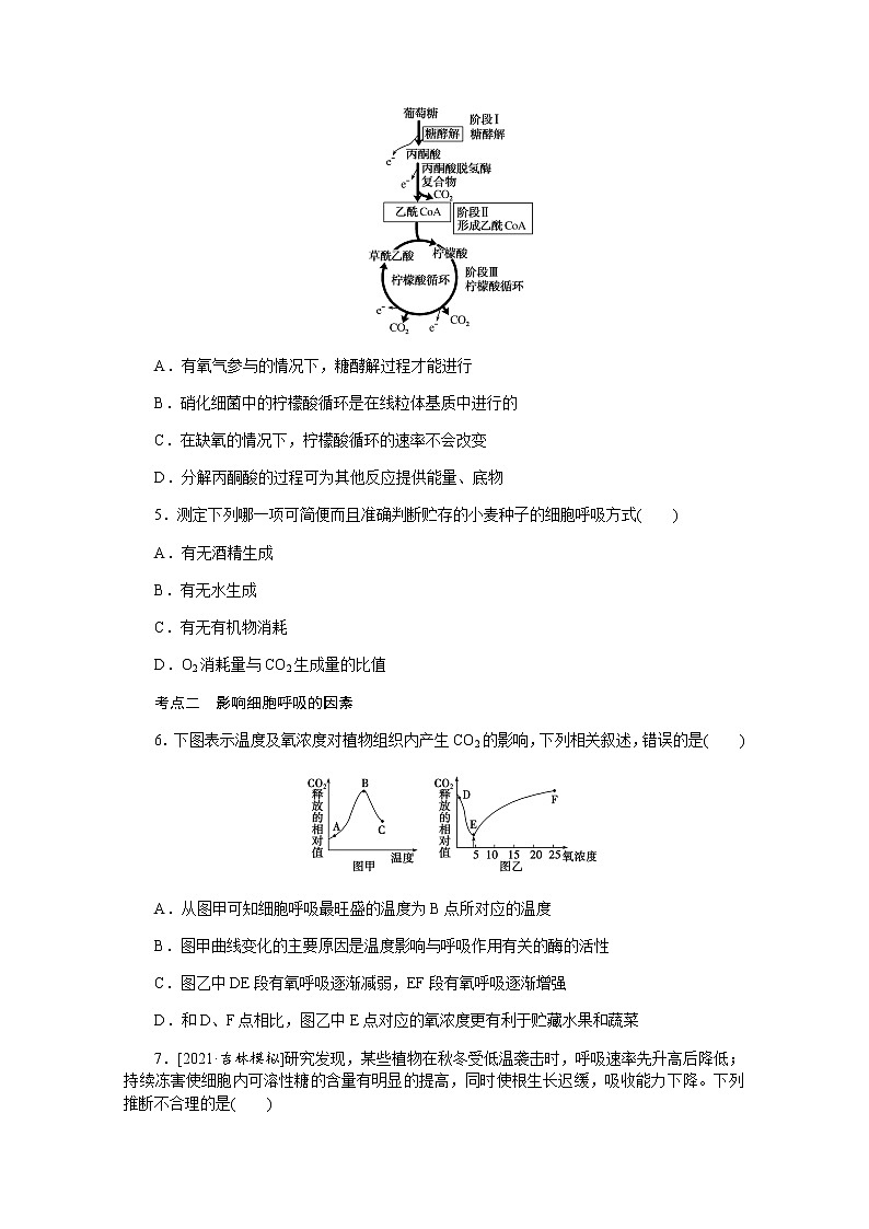 【新教材】2022届新高考生物一轮复习课后检测:9+ATP的主要来源——细胞呼吸+Word版含解析第2页