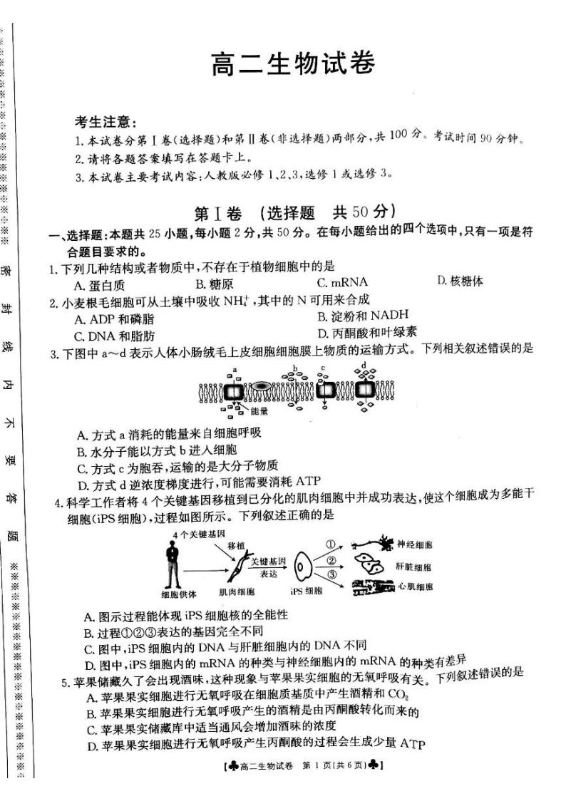 2020-2021学年甘肃省靖远县高二下学期期末考试生物试题 pdf版01