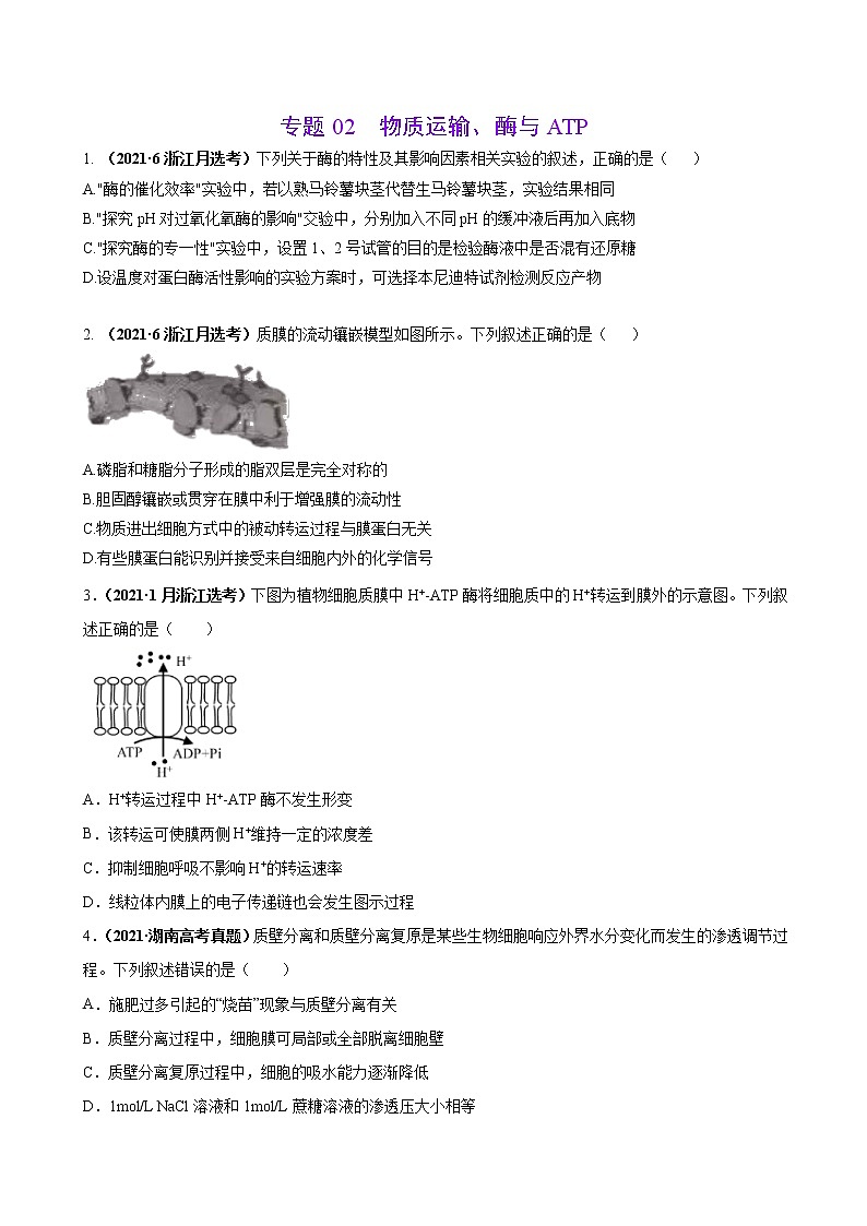 专题02物质运输、酶与ATP-三年(2019-2021)高考生物真题分项汇编(原卷版)第1页