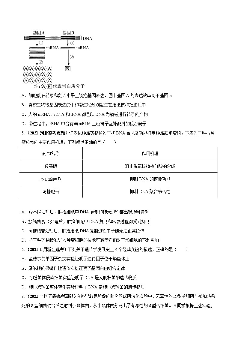 专题07遗传的分子基础-三年(2019-2021)高考生物真题分项汇编(原卷版)第2页