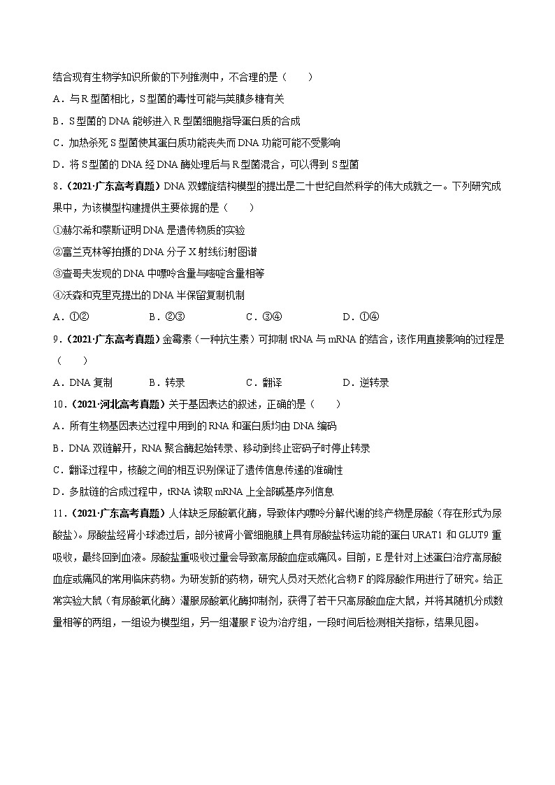 专题07遗传的分子基础-三年(2019-2021)高考生物真题分项汇编(原卷版)第3页