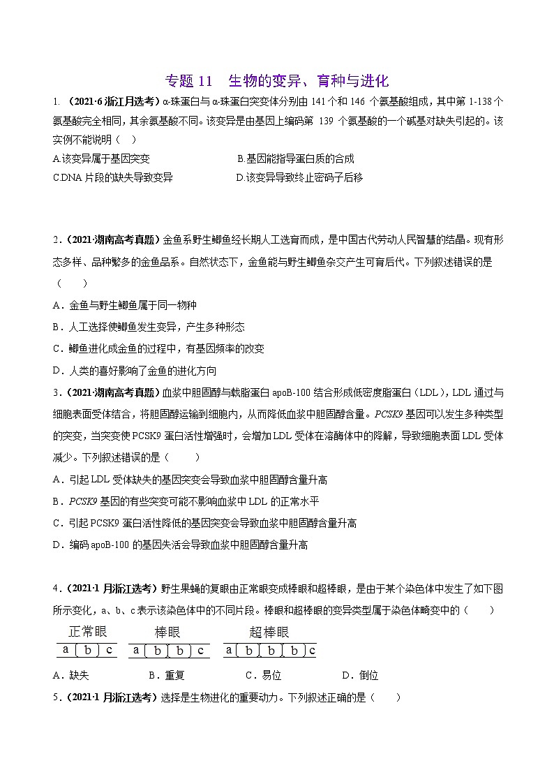 专题11生物的变异、育种与进化-三年(2019-2021)高考生物真题分项汇编(原卷版)01
