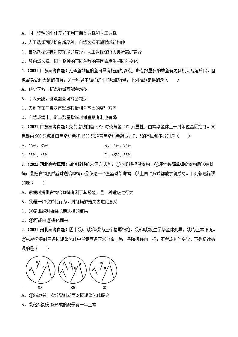 专题11生物的变异、育种与进化-三年(2019-2021)高考生物真题分项汇编(原卷版)02