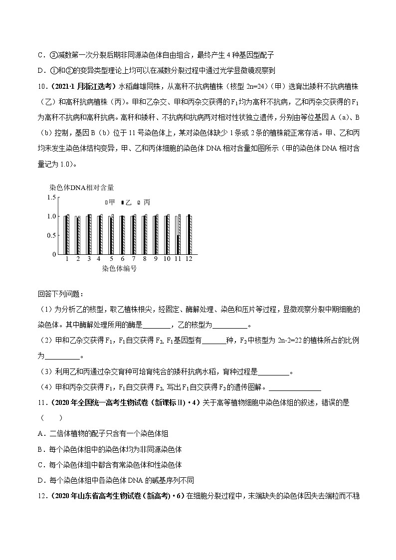 专题11生物的变异、育种与进化-三年(2019-2021)高考生物真题分项汇编(原卷版)03